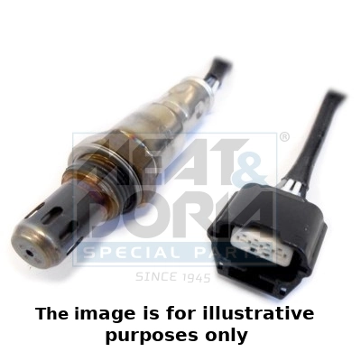Oxygen Sensor